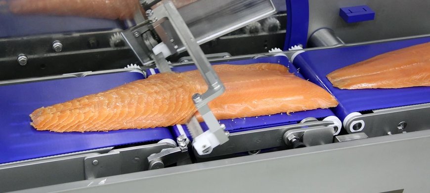 Marel is Introducing a new slicer MSC 55 MA